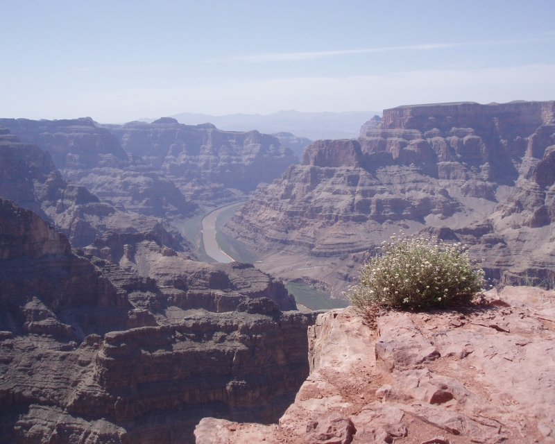 las vegas grand canyon